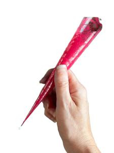 Cone Applicators for Henna and Jagua Body Art, Set of 10, Empty, Ready to Fill Makeup Cosmetic