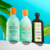 Nature Spell Rosemary Oil with Hair Growth Shampoo & Conditioner
