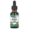 Nature's Answer Mullein Leaf, Fluid Extract, Alcohol-Free , 2,000 mg, 1 fl oz (30 ml)